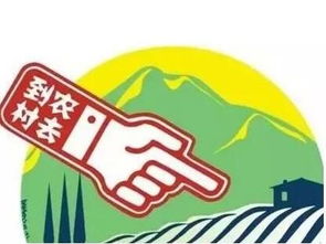 辛集-物流新核心的崛起,辛集-物流新核心的崛起,第3张
