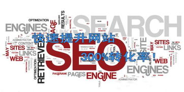 为什么SEO网站免费，却能让你的业务腾飞？,为什么SEO网站免费，却能让你的业务腾飞？,第3张
