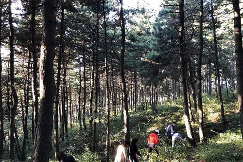 "五月花香飘溢，感受自然美好的回归","五月花香飘溢，感受自然美好的回归",第3张