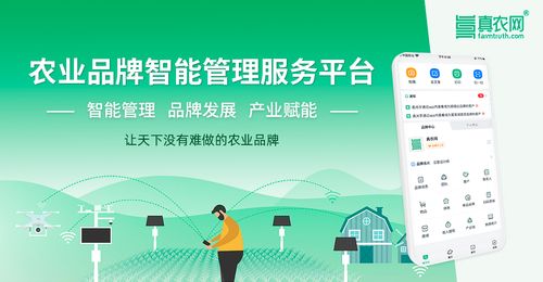 践行"互联网+"，河间网助力农村电商飞翔,践行"互联网+"，河间网助力农村电商飞翔,第3张