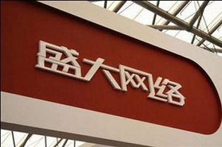 「纵观盛大推广，探究其成功之道」,「纵观盛大推广，探究其成功之道」,第3张