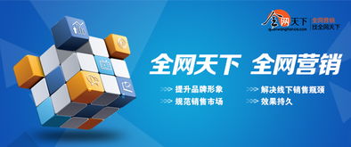 从传统到现代：网络营销的演变,从传统到现代：网络营销的演变,第1张