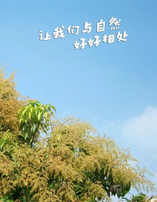 收录网址：http:www.xinhuanet.com2019-1115c_1125214564.htm,收录网址：http:www.xinhuanet.com2019-1115c_1125214564.htm,第3张