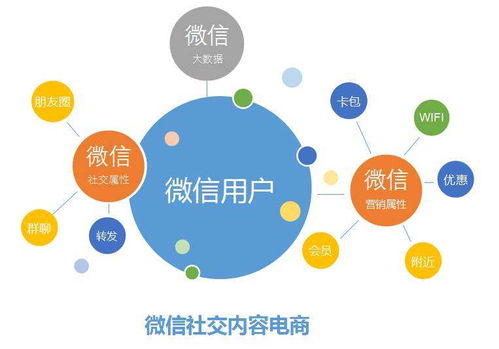 如何高效地管理团队？-打造成功的团队管理方法,如何高效地管理团队？-打造成功的团队管理方法,第3张
