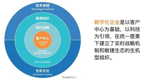 破仑网络：数字营销引领生态升级,破仑网络：数字营销引领生态升级,第1张