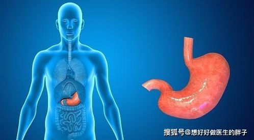 揭秘龙布峰针贴背后的真相,揭秘龙布峰针贴背后的真相,第3张