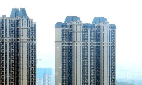 探秘深圳未来发展，网络预测揭示城市走向,探秘深圳未来发展，网络预测揭示城市走向,第2张
