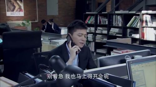如何从圆明园物品归还事件中了解中国社会发展,如何从圆明园物品归还事件中了解中国社会发展,第2张