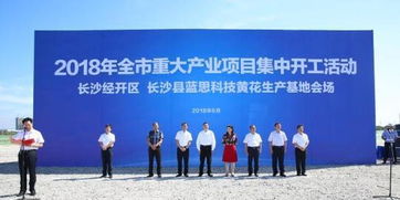 长沙厂商的秘密武器如何在市场竞争中脱颖而出？,长沙厂商的秘密武器如何在市场竞争中脱颖而出？,第3张