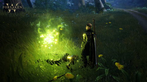探索魔兽世界：从卡牌到虚拟现实,探索魔兽世界：从卡牌到虚拟现实,第3张