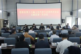 乐清县政府正式启动网站建设计划,乐清县政府正式启动网站建设计划,第1张