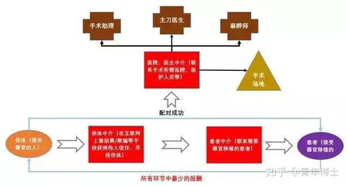 珠海斗门惊现神秘黑市，警方紧急介入调查,珠海斗门惊现神秘黑市，警方紧急介入调查,第1张