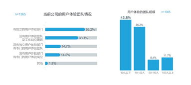 突破传统，探索创新-一个网络公司官网的案例分析,突破传统，探索创新-一个网络公司官网的案例分析,第2张