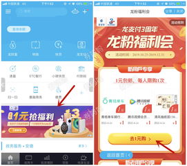 「蜗牛VIP会员-让你懂得更多」,「蜗牛VIP会员-让你懂得更多」,第2张