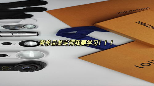 还价、品质与服务：探秘二手奢侈品交易平台驴皮网,还价、品质与服务：探秘二手奢侈品交易平台驴皮网,第1张