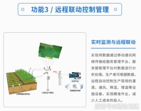 践行"互联网+"，河间网助力农村电商飞翔,践行"互联网+"，河间网助力农村电商飞翔,第2张
