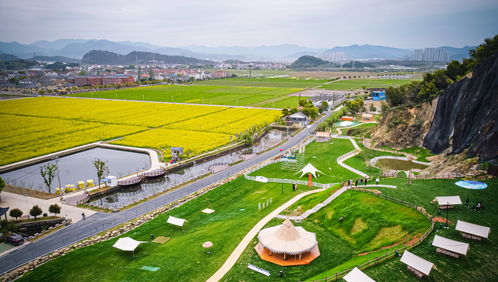 探访衡阳县德峰镇的农业农村发展,探访衡阳县德峰镇的农业农村发展,第1张