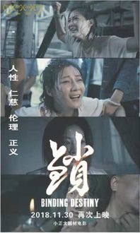 《陈情令》首播：如梦如幻的画面令人陶醉，连番玄机让人心生猜疑,《陈情令》首播：如梦如幻的画面令人陶醉，连番玄机让人心生猜疑,第3张