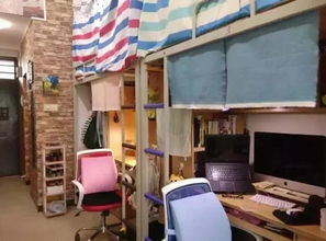 如何为大学宿舍的空间装饰增添新意？,如何为大学宿舍的空间装饰增添新意？,第3张