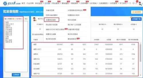 网站流量：为何如此重要且如何优化,网站流量：为何如此重要且如何优化,第3张