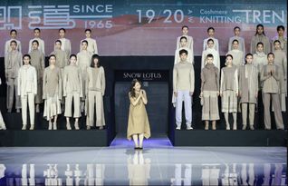 鸟千代?日向リサ：文化和时尚的混合体,鸟千代?日向リサ：文化和时尚的混合体,第1张
