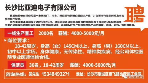 乌鲁木齐人才网：探索职场新思路,乌鲁木齐人才网：探索职场新思路,第3张