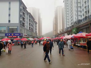 探究开封二手房市场：赶集网调研报告,探究开封二手房市场：赶集网调研报告,第2张