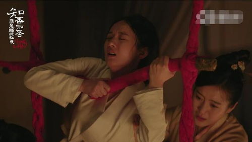 用坚强与爱，瘫痪女孩化身女警救回丈夫,用坚强与爱，瘫痪女孩化身女警救回丈夫,第1张