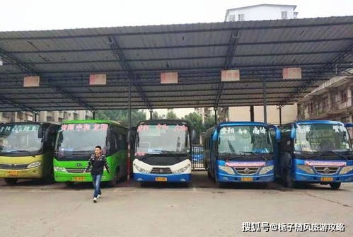 南京汽车站一键订票，省心出行,南京汽车站一键订票，省心出行,第1张
