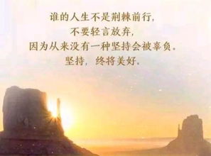 和一只温暖的奶猫相遇：治愈心灵的999个日常,和一只温暖的奶猫相遇：治愈心灵的999个日常,第3张