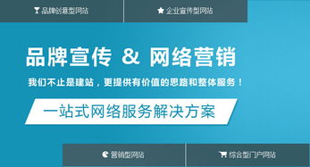 建一个网站需要多少钱（网站建设费用分析）,建一个网站需要多少钱（网站建设费用分析）,第1张