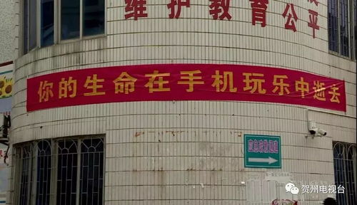 江苏省昆山中学：让学生远离手机，拥抱知识的乐园,江苏省昆山中学：让学生远离手机，拥抱知识的乐园,第1张