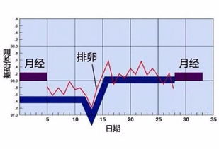 探讨女性周期中的健康状况,探讨女性周期中的健康状况,第1张
