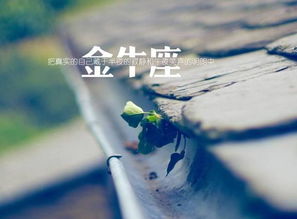 从这些神奇的相册中发现了美与奇幻的结合，你不可错过,从这些神奇的相册中发现了美与奇幻的结合，你不可错过,第1张