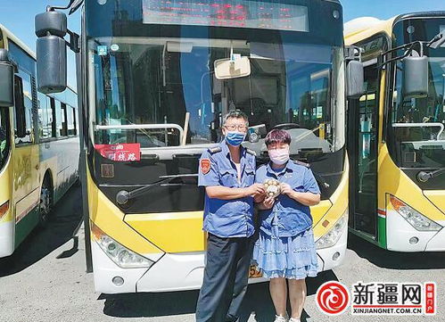 黄山旅游必备指南：公交路线详解,黄山旅游必备指南：公交路线详解,第1张