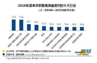 乐清市人才政策全解析,乐清市人才政策全解析,第2张