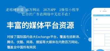 站长必备的广告联盟工具，提升网站收益的必杀技！,站长必备的广告联盟工具，提升网站收益的必杀技！,第2张