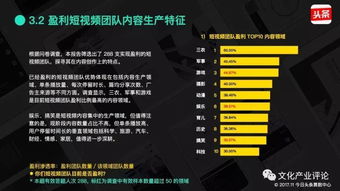 探讨在线视频平台的内容与盈利模式,探讨在线视频平台的内容与盈利模式,第3张