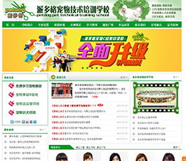 杭州网站设计：追求时尚感的设计理念,杭州网站设计：追求时尚感的设计理念,第1张