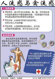 韩国夜店集体感染：严峻疫情警示,韩国夜店集体感染：严峻疫情警示,第1张
