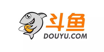 「纵观盛大推广，探究其成功之道」,「纵观盛大推广，探究其成功之道」,第1张