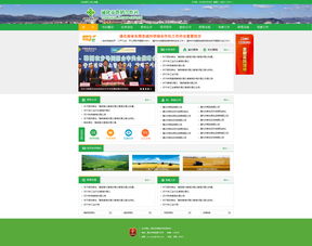 公司如何建网站（从选平台到设计，一步步教你做好网站）,公司如何建网站（从选平台到设计，一步步教你做好网站）,第2张