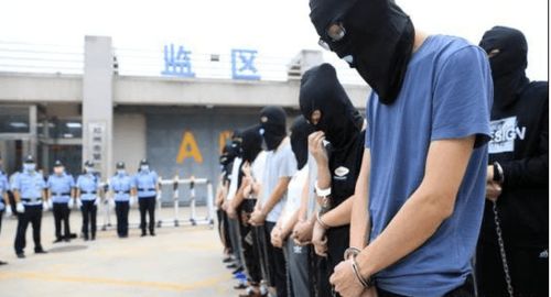 AV站点被警方抓获，创始人被判六年半监禁,AV站点被警方抓获，创始人被判六年半监禁,第3张