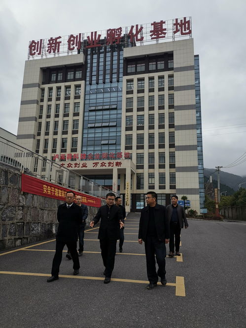 「重写标题」：探秘无为网背后的故事和发展前景,「重写标题」：探秘无为网背后的故事和发展前景,第1张