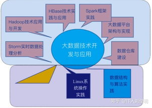 哪些专业能给毕业生带来更好的就业前景？,哪些专业能给毕业生带来更好的就业前景？,第3张