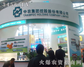 大型企业为何能在中美贸易战中保持镇静？,大型企业为何能在中美贸易战中保持镇静？,第2张