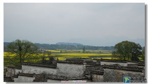 如何利用黄山市民网论坛共建美好城市,如何利用黄山市民网论坛共建美好城市,第2张