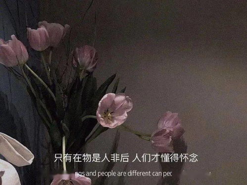 抖音达人教你轻松获得百万粉丝的秘诀,抖音达人教你轻松获得百万粉丝的秘诀,第2张