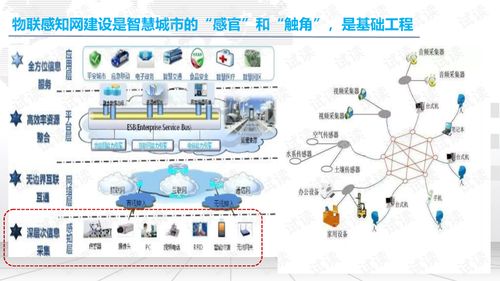探析唐山市建设现代化互联网平台的必要性与前景展望,探析唐山市建设现代化互联网平台的必要性与前景展望,第3张
