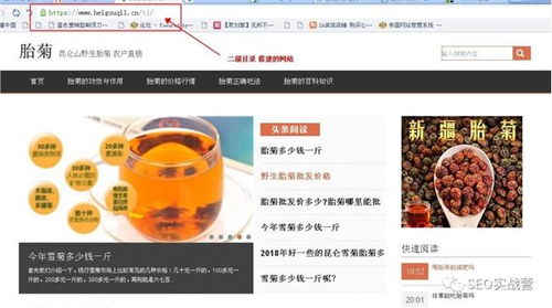 如何优化网站SEO-二级域名重写指南,如何优化网站SEO-二级域名重写指南,第2张